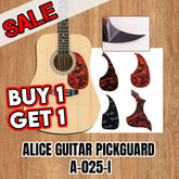 PICK-GUARD GITAR