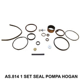 1 SET SEAL POMPA HOGAN