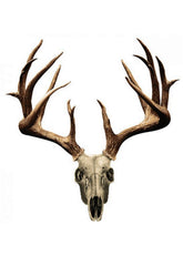 STIKER MOSSY OAK RUSA (BD106)