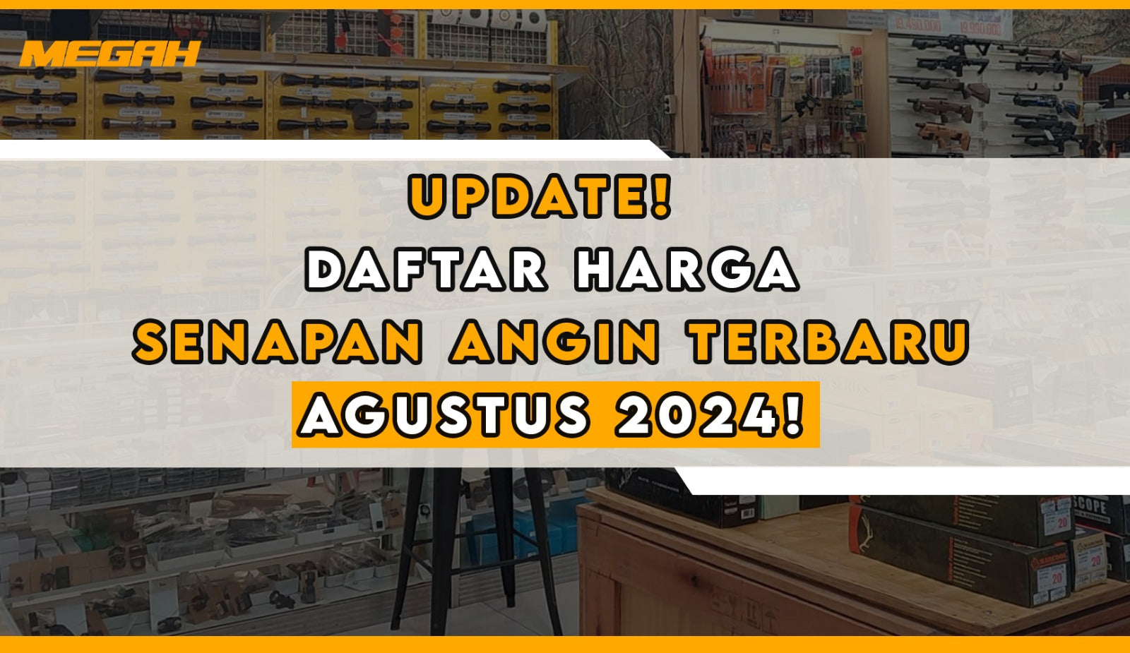 UPDATE! DAFTAR HARGA SENAPAN ANGIN TERBARU AGUSTUS 2024!