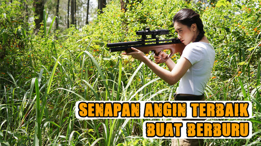 Senapan Angin Terbaik Buat Berburu