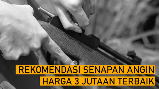 senapan angin harga 3 jutaan