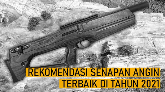 Rekomendasi Senapan Angin Terbaik Di Tahun 2021