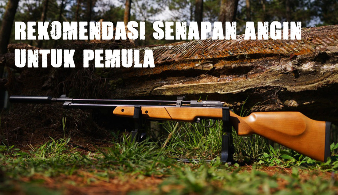 Rekomendasi Senapan Angin Untuk Pemula