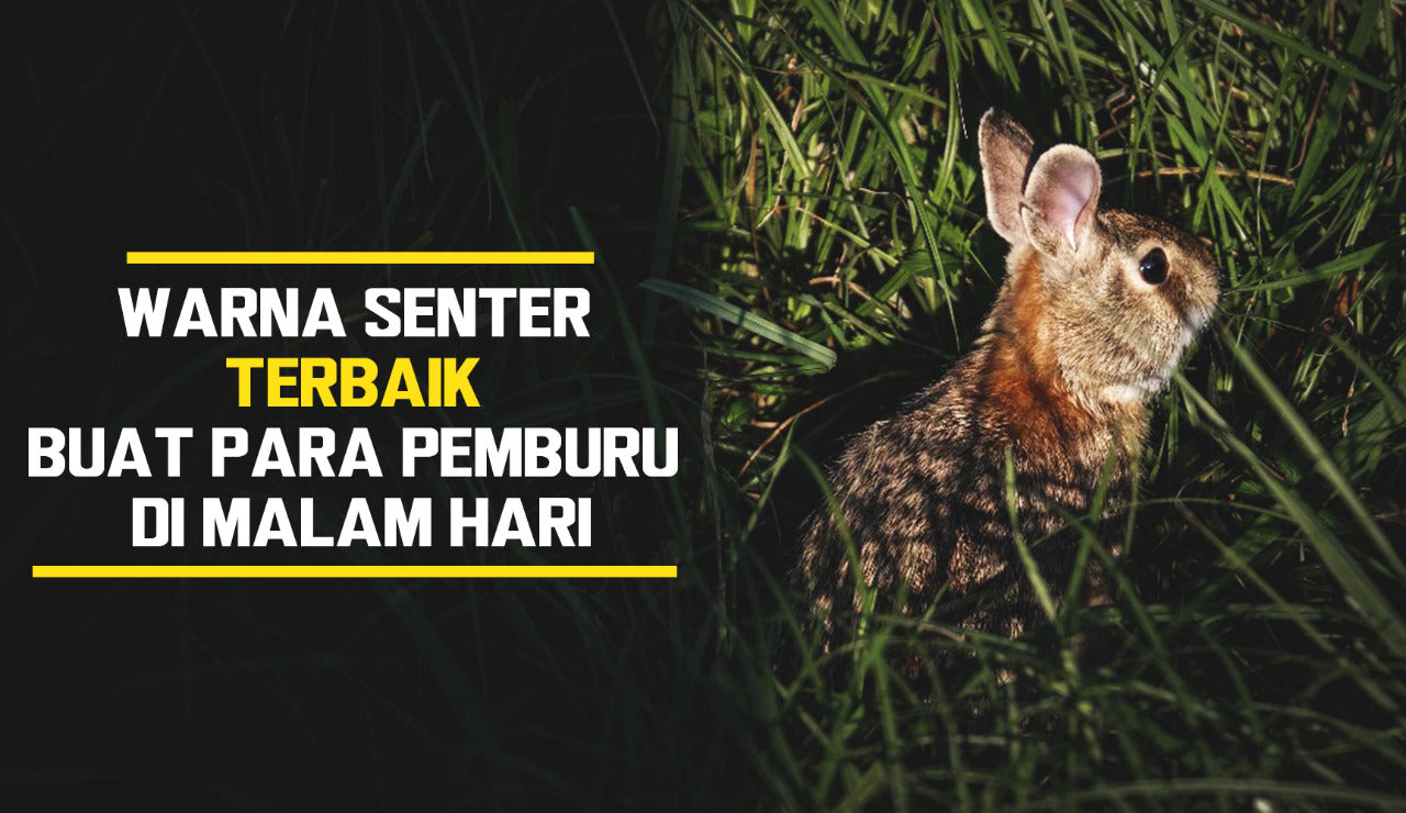 Warna Senter Terbaik Buat Para Pemburu Di Malam Hari