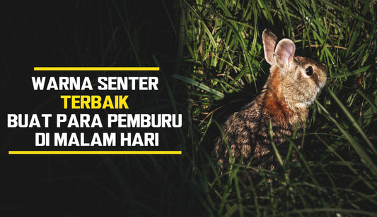 Warna Senter Terbaik Buat Para Pemburu Di Malam Hari