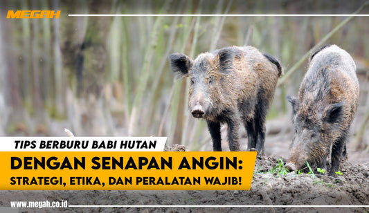 Tips Berburu Babi Hutan dengan Senapan Angin: Strategi, Etika, dan Peralatan Wajib!