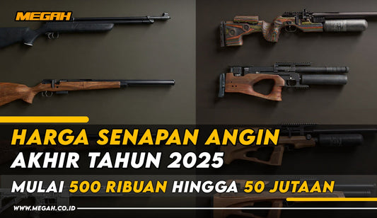Harga Senapan Angin Akhir Tahun 2025: Mulai 500 Ribuan hingga 50 Jutaan