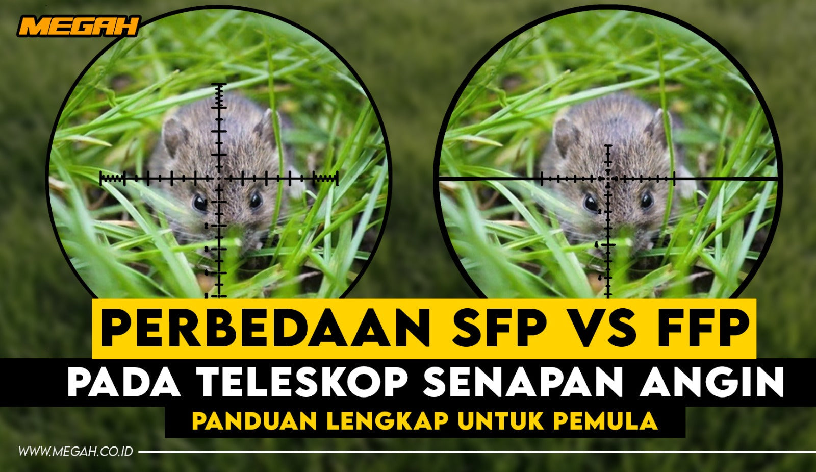 Perbedaan FFP vs SFP pada Teleskop Senapan Angin: Panduan Lengkap untuk Pemula