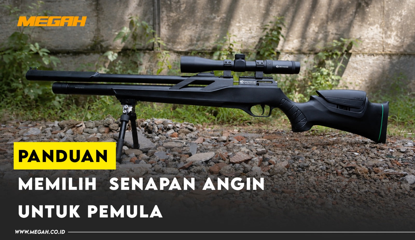 Panduan Memilih Senapan Angin: Panduan Lengkap untuk Pemula