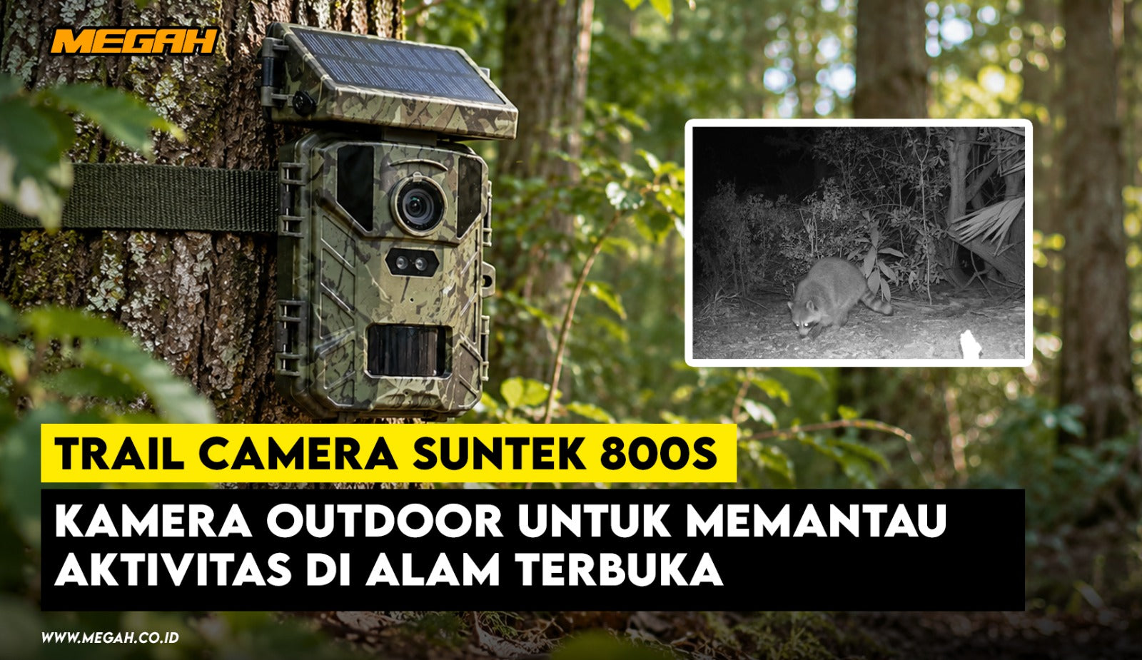 Trail Camera SUNTEK 800S: Kamera Outdoor untuk Memantau Aktivitas di Alam Terbuka