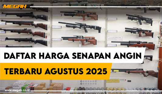 Daftar Harga Senapan Angin Terbaru Agustus 2025 | PCP & Uklik Termurah
