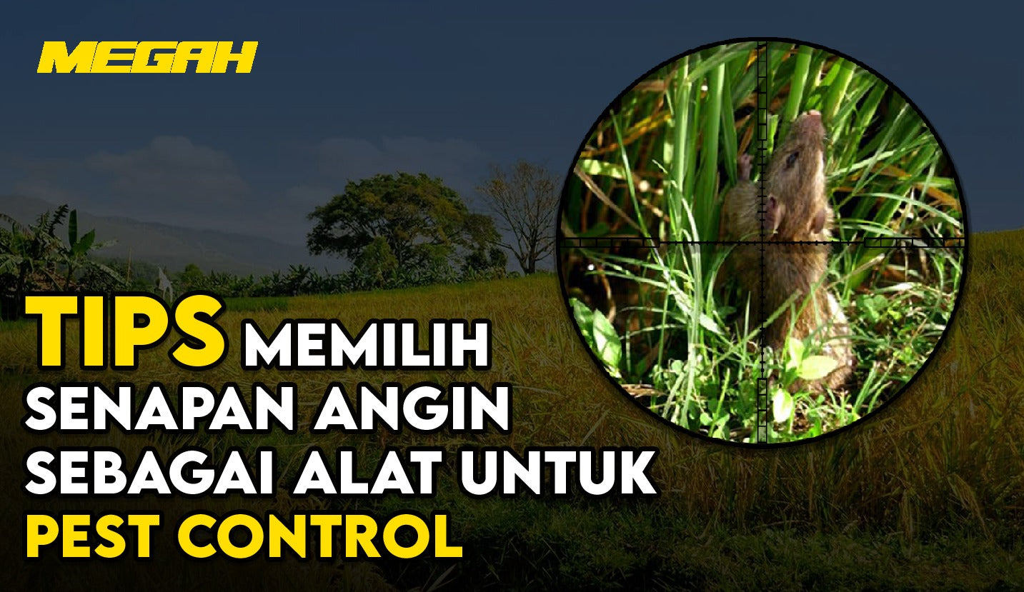 TIPS MEMILIH SENAPAN ANGIN SEBAGAI ALAT UNTUK PEST CONTROL