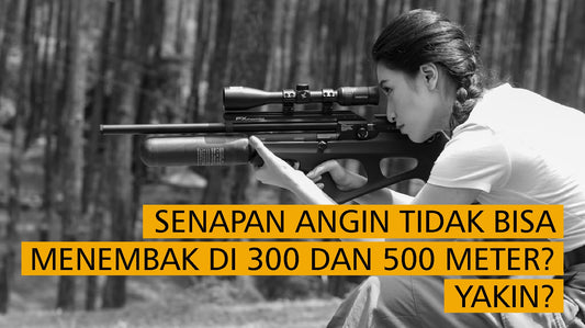 Senapan Angin Jarak Tembak 300 Meter? Yakin Bisa?