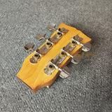 DRYER GITAR ACCOUSTIC CHROME (AG578)
