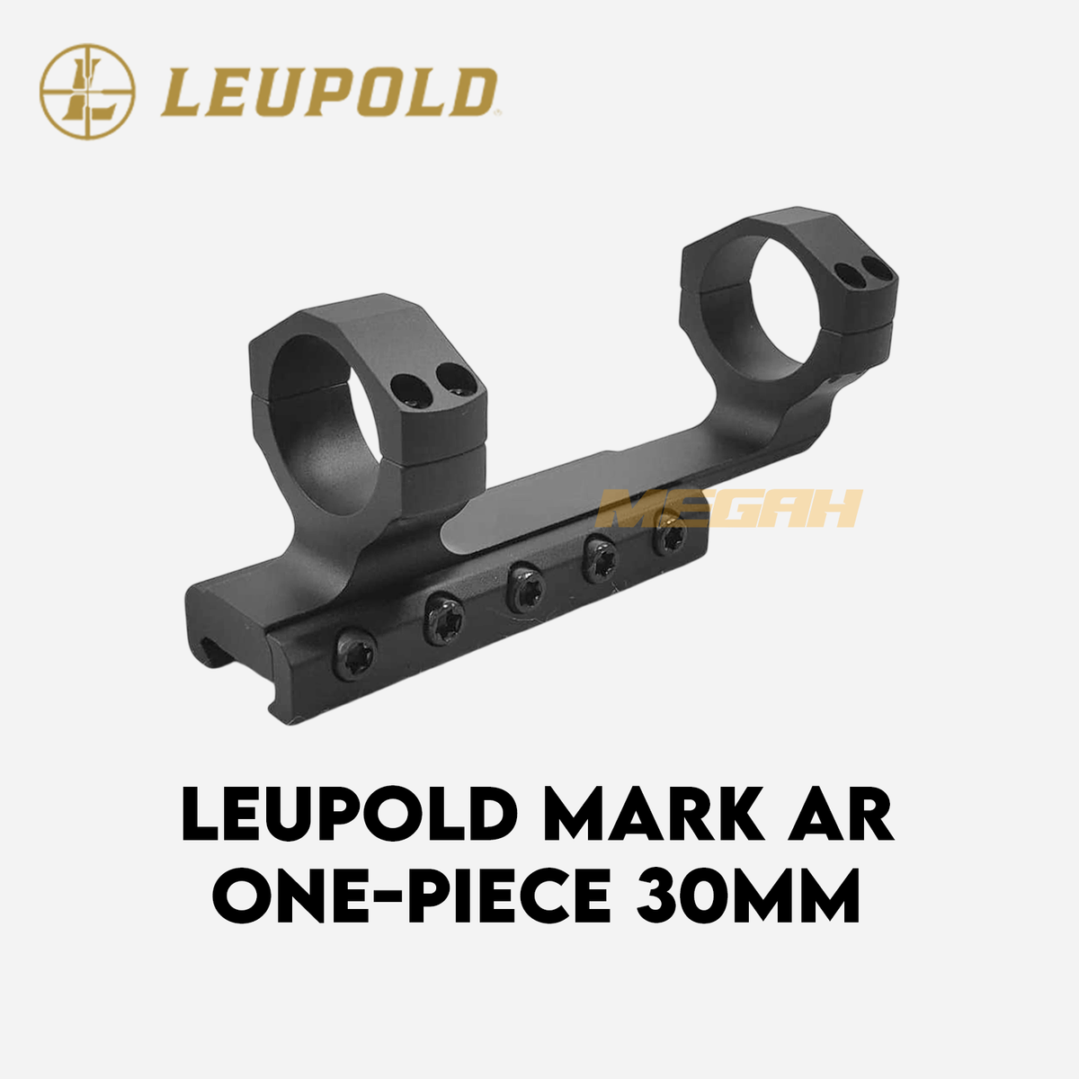 MOUNTING LEUPOLD MARK AR 30MM