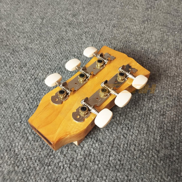 DRYER GITAR ACCOUSTIC (AG577)