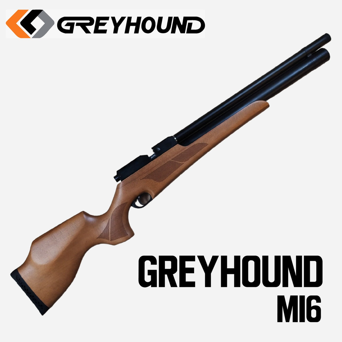 GREYHOUND M16 (SE909)