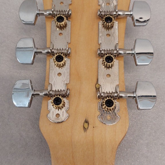 DRYER GITAR ACCOUSTIC CHROME (AG578)