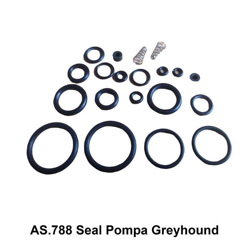 SEAL POMPA GREYHOUND (AS788)
