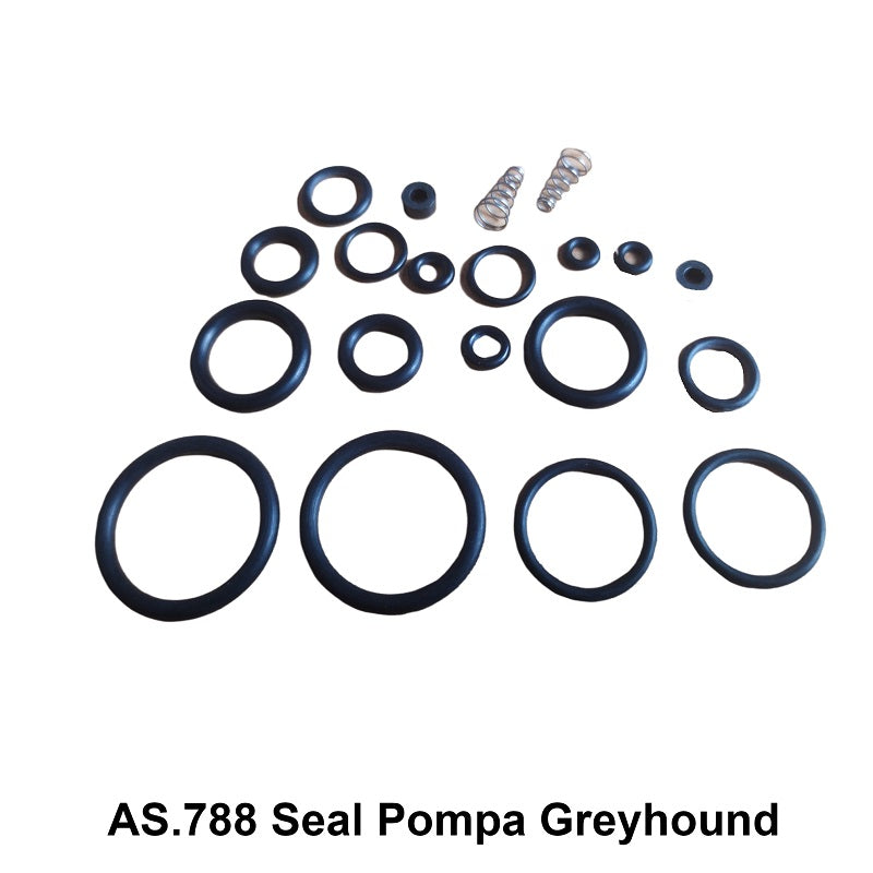 SEAL POMPA GREYHOUND 4 STAGE