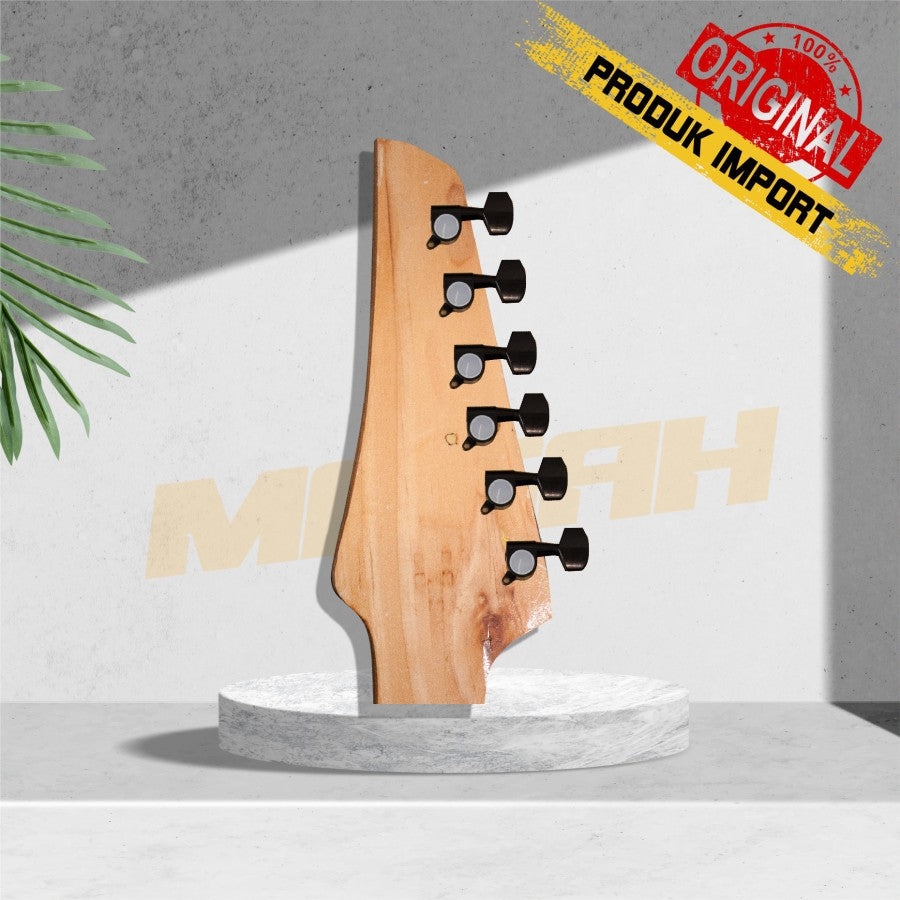 DRYER GITAR ELEKTRIC & ACCOUSTIC R6 Gambar sekunder produk