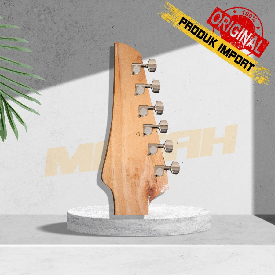 DRYER GITAR ELEKTRIC & ACCOUSTIC R6 Gambar utama produk