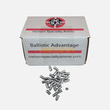 SLUG NSA 20.5GR