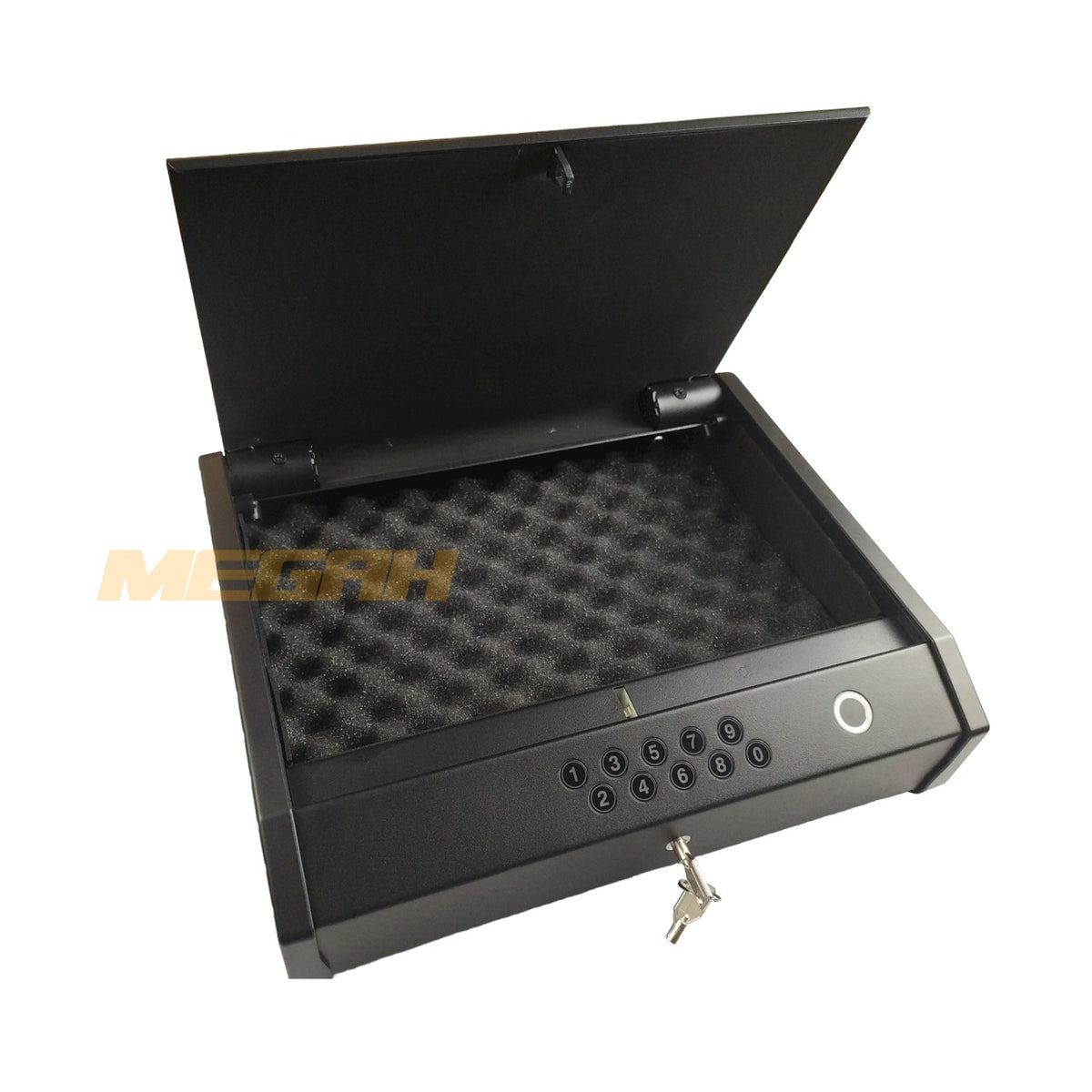 BRANKAS BIOMETRIC PISTOL & BARANG BERHARGA (TA120)
